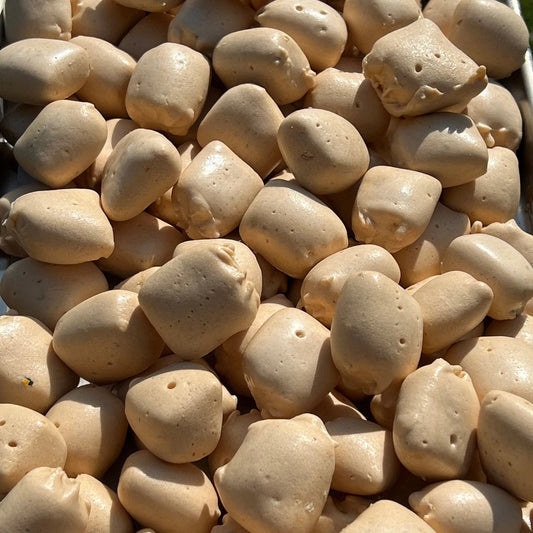 Honey Bee Crunch Bites